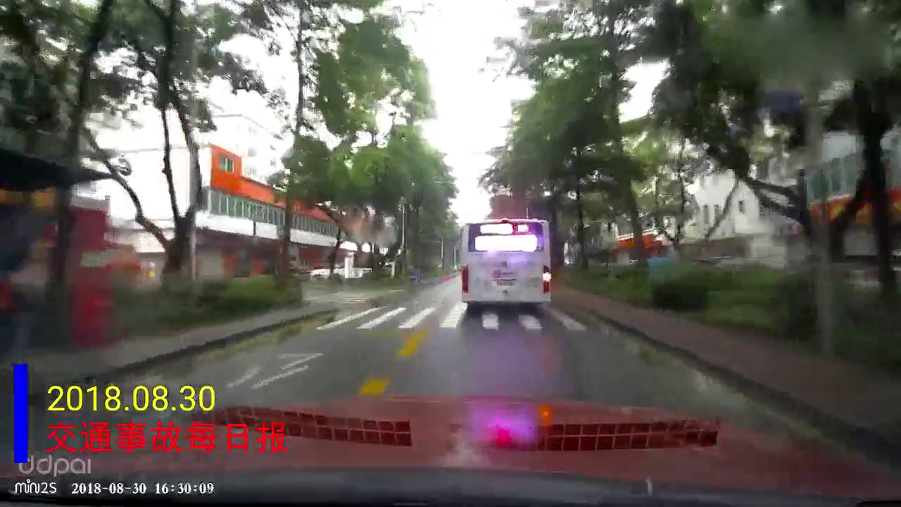 交通事故合集：肆无忌惮的闯红灯，电动车令人防不胜防