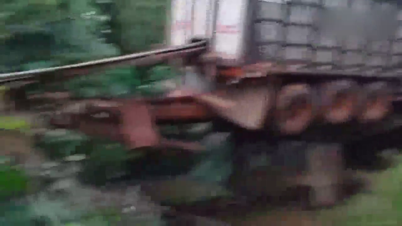 极限卡车特种畜牧运输，通过悬空独木桥，司机技术惊为天人