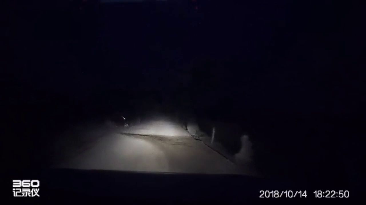 电动车突然从路口窜出，不要试探我刹车灵不灵！