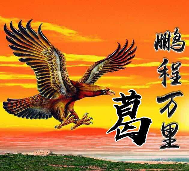 2019年你该换个微信头像了,雄鹰展翅鹏程万里姓氏头像