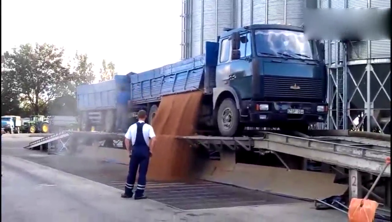 实拍：满载谷物的卡车是怎样卸车的？