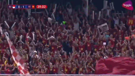 3-0！越南夺冠创60年纪录，球迷疯狂庆祝 范志毅预言成真？
