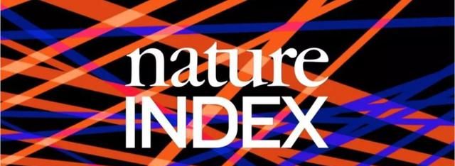 2020自然指数排名全_直击中关村论坛|“自然指数-科研城市2020”发布北京