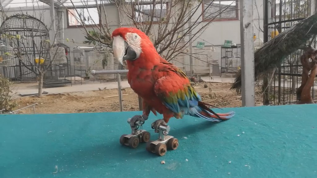 CBA盘口与数据深度__今日CBA盘口分析·大小分策略·球队档案菲律宾篮球联赛揭秘：比分背后的战术与球队特色