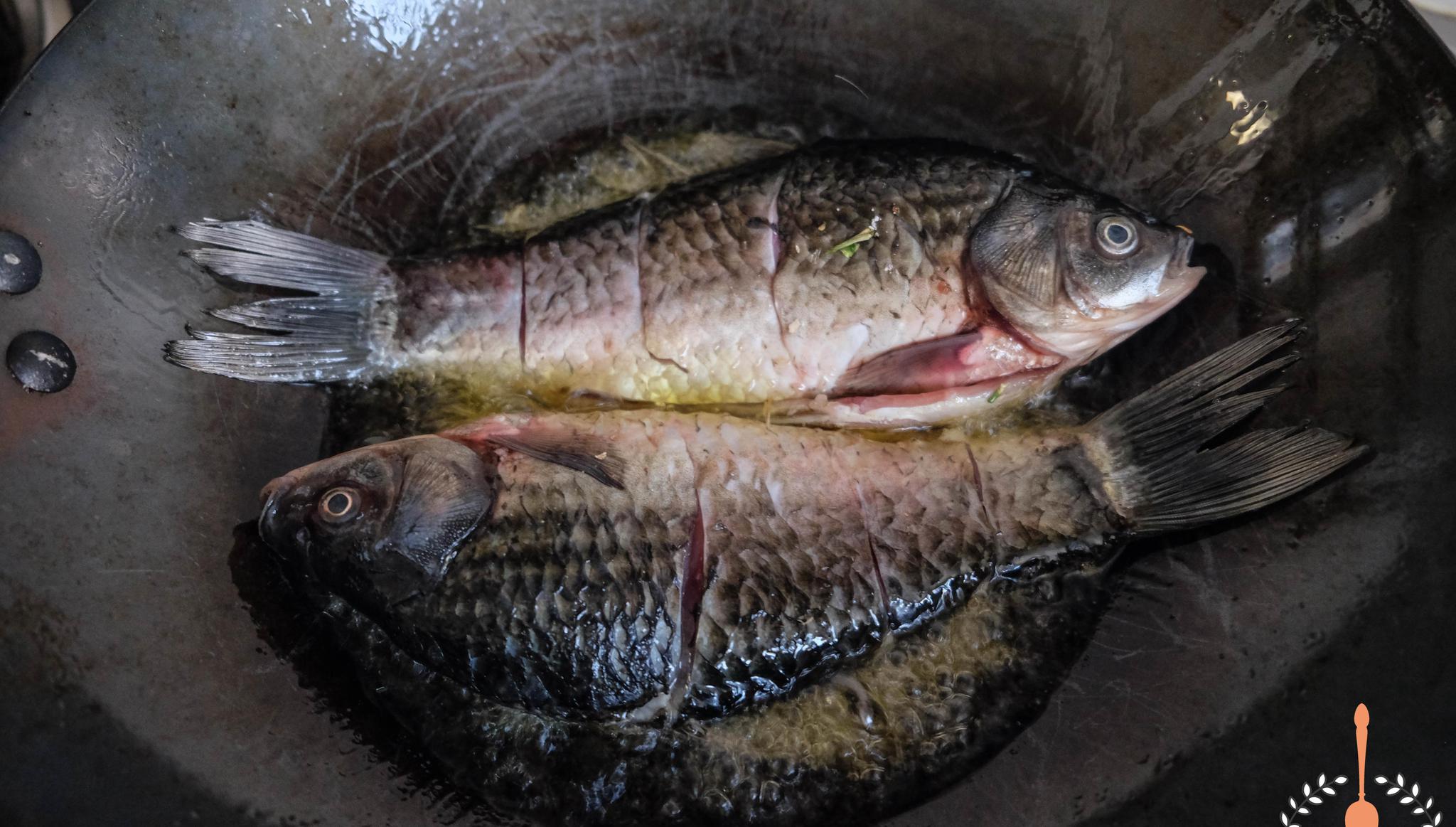 鱼身上有红斑求助 - 水族世界 - 广州观赏鱼批发市场