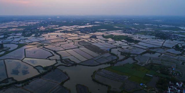 安徽宣城:航拍郎溪现代农业示范园 夕阳映照景色壮观