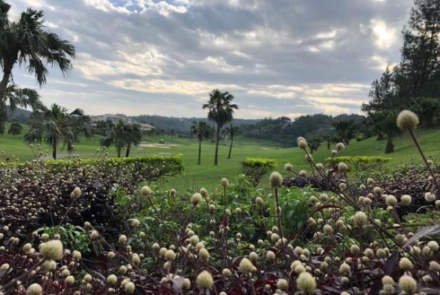 刘诗诗多张孕照写真曝光,打扮休闲,身材苗条,孕