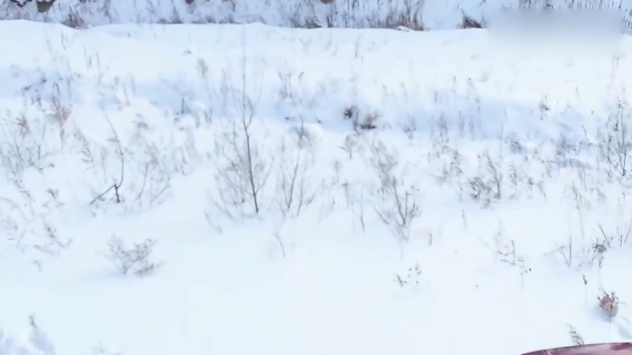 长白山冰雪试驾福特在华全系SUV集锦