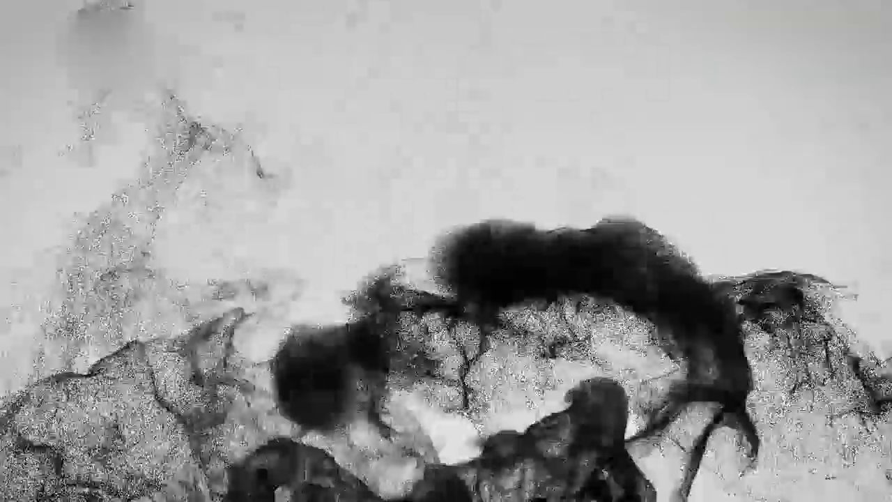 高级跑车造型酷炫 公路霸气测试性能 公路一道风景