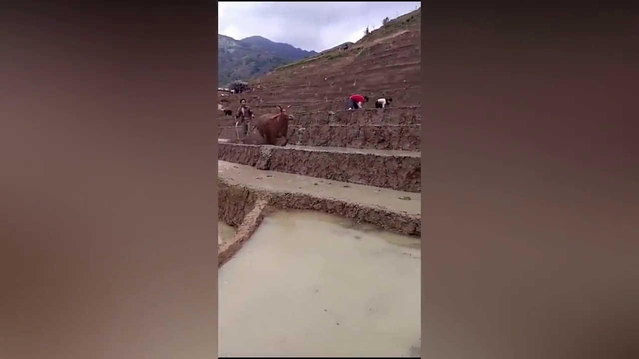 跑车算什么，这个才叫拉风