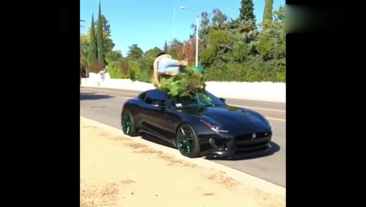 跑车有多少人知道 车顶上的霸气