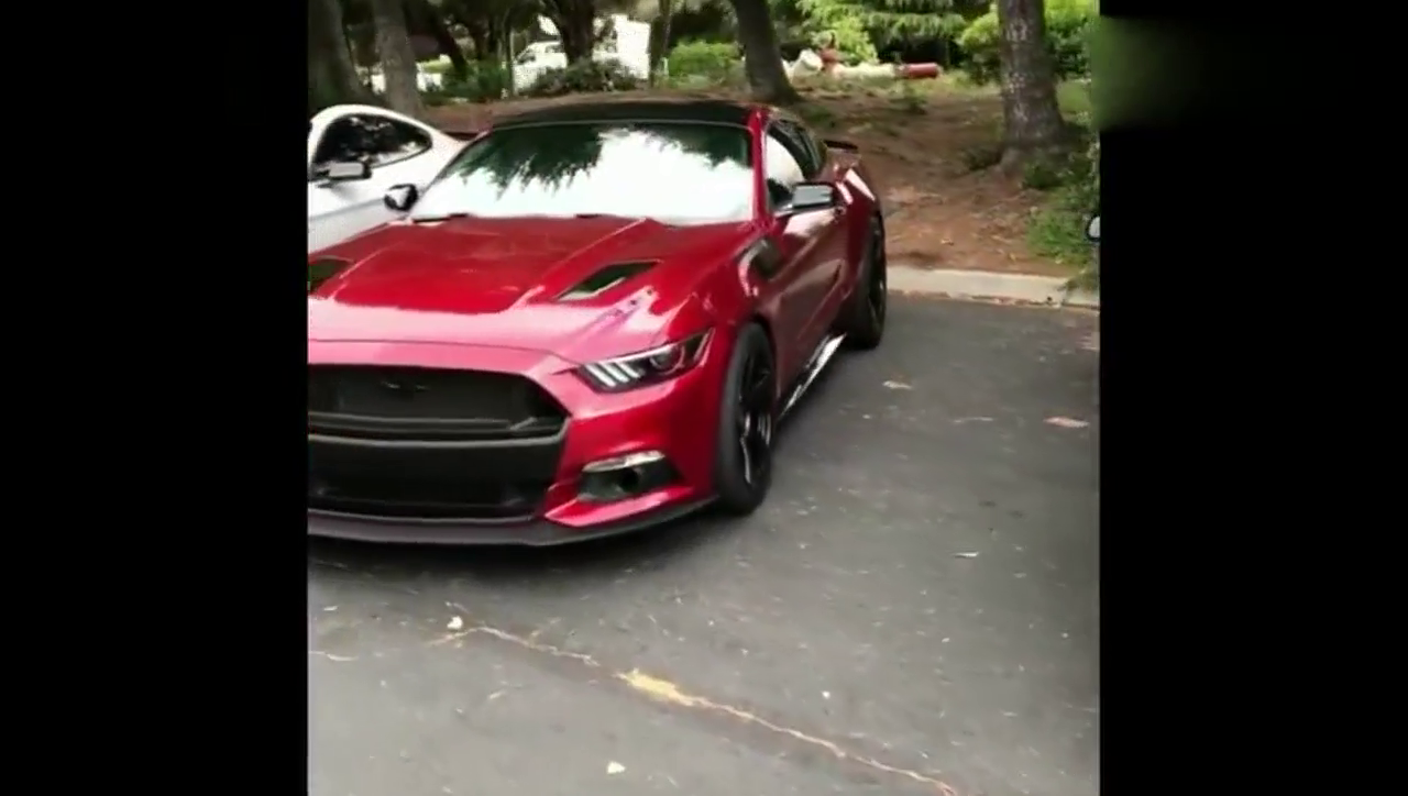 野马跑车，爱上一匹野马，你喜欢什么颜色