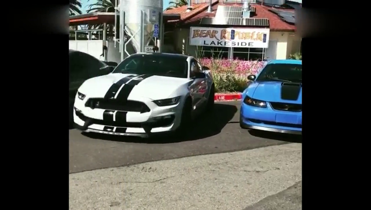 野马跑车，集体聚会，你喜欢哪个颜色