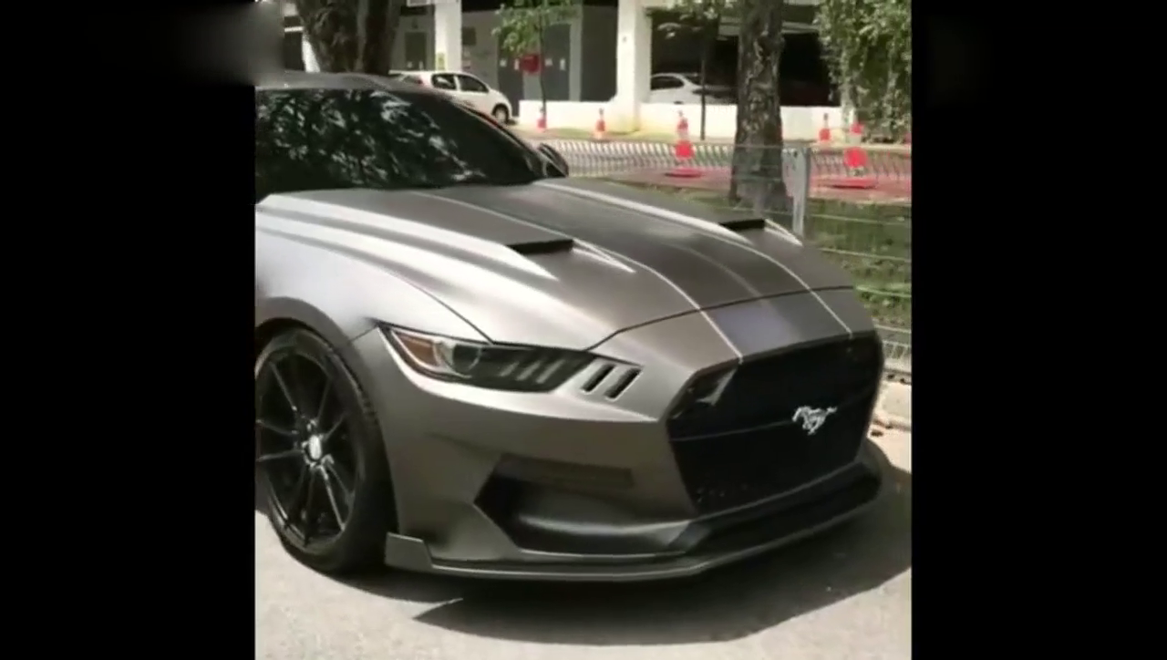 野马跑车 今天刚提车 你猜几元