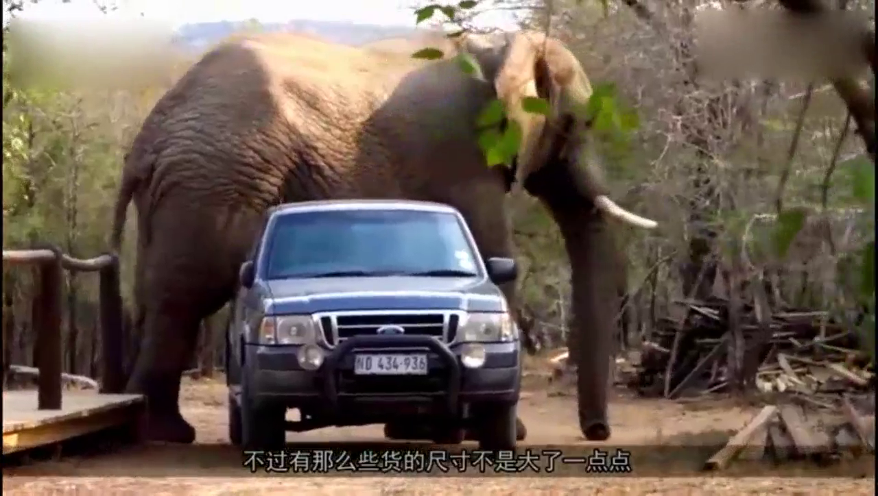 变形金刚般的卡车，可随意伸缩，全球最长！