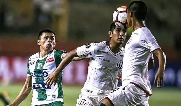 解读 | 中国足球豪赌归化,急功近利还是雪中送炭