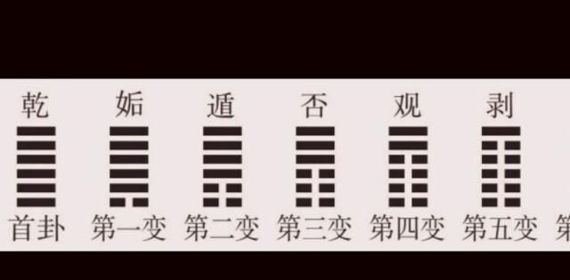 兑卦人养生 兑卦之道的健康秘诀 (兑卦人的养生方案)