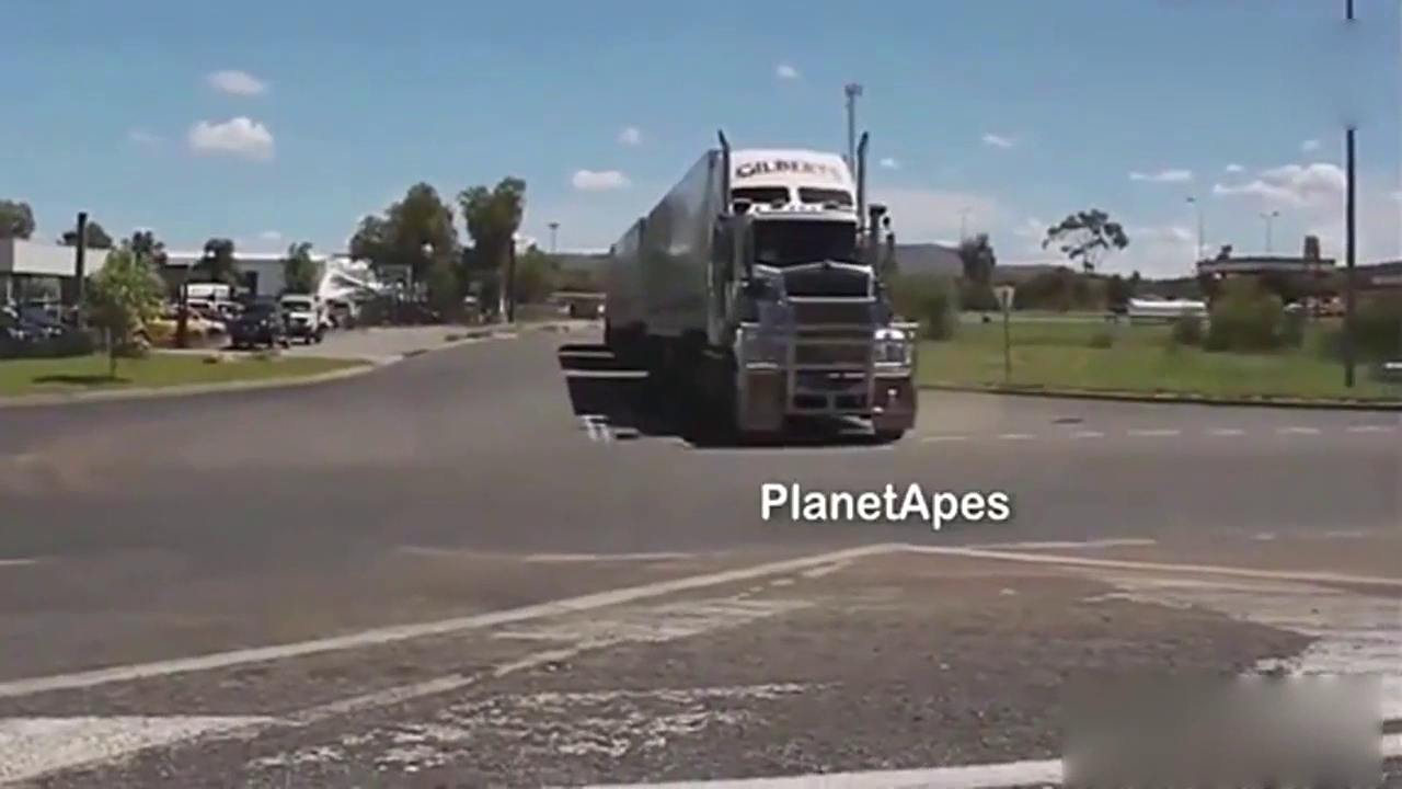 真正的卡车之王 不是一般的驾照能开得了的！