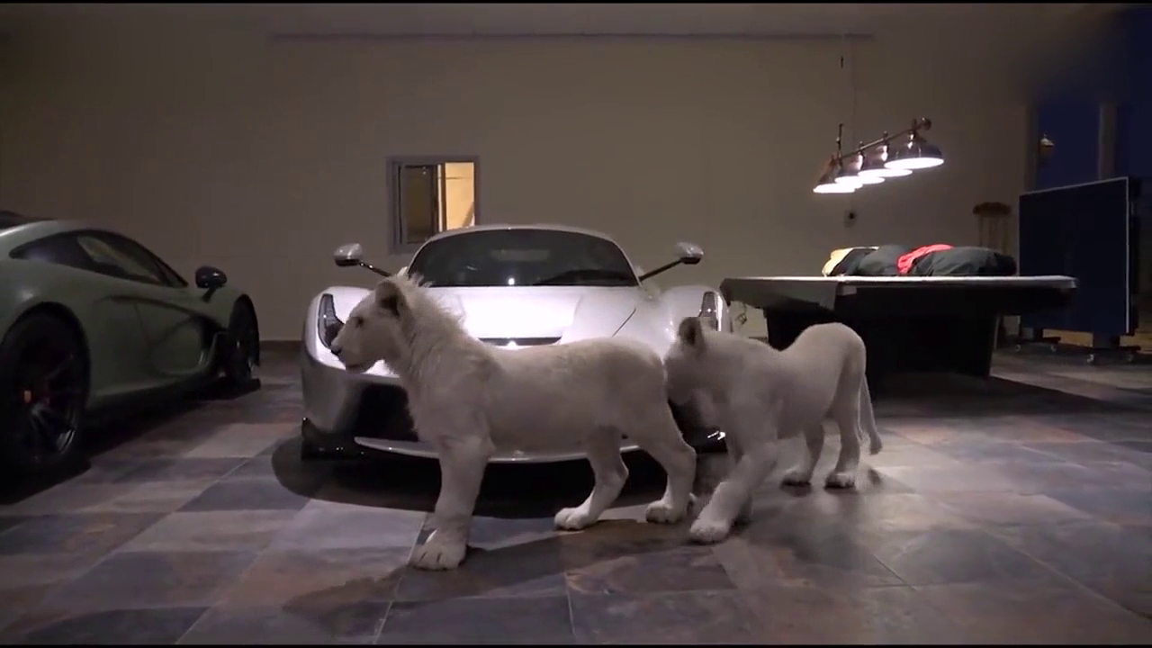 私人定制的法拉利跑车到了，看到俩附属品才晓得什么是真正的土豪