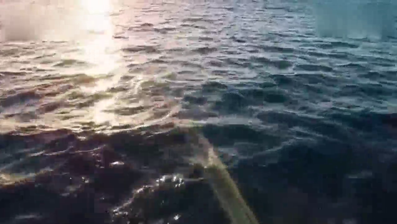 特别有态度！国外大型改装车聚会展示！