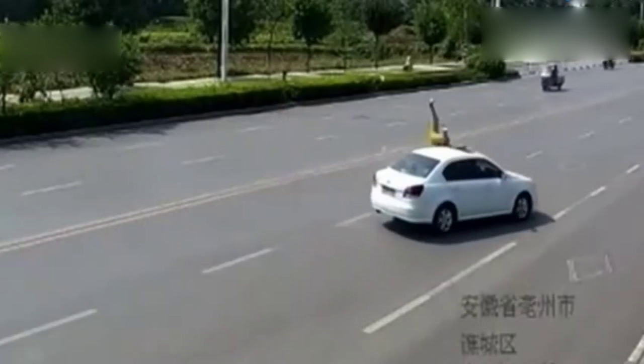 看完视频后：我终于知道为什么电动车那么欠揍了！