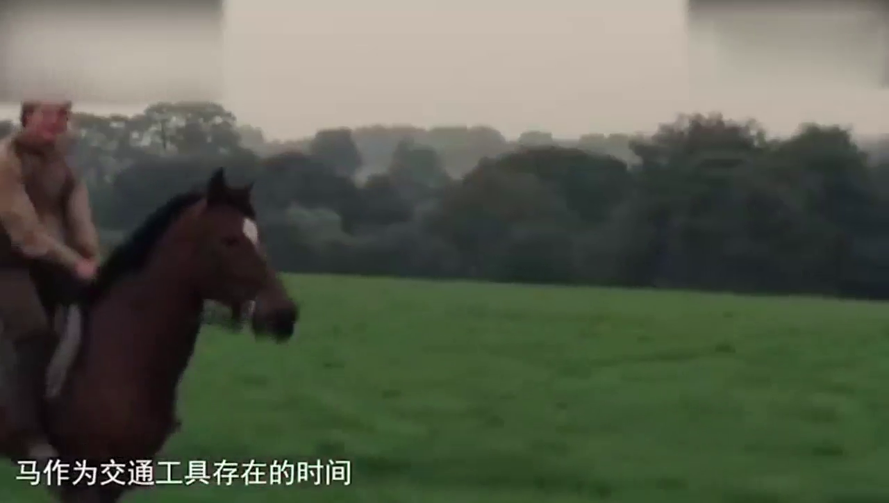 长知识！马起步加速比跑车还快？结果很意外！