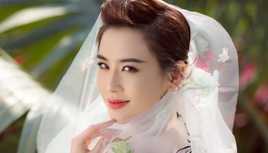 杨幂学历,刘亦菲学历,王珞丹学历,网友:居然被她