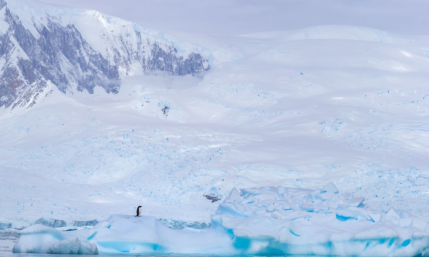 南极冰层下的秘密世界 冰盖融化对海平面的影响
