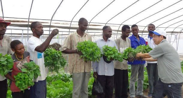 为什么16万中国人去非洲定居不愿意再回来 非