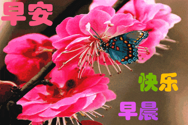 群发清晨早安问候语图片表情 漂亮早上好问候语表情图片