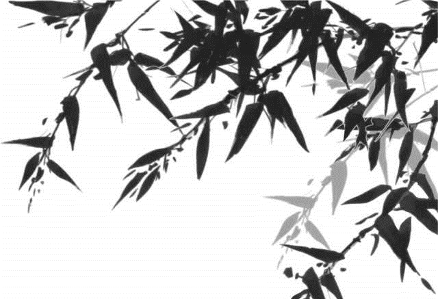 汉青国际集团董事长(2)