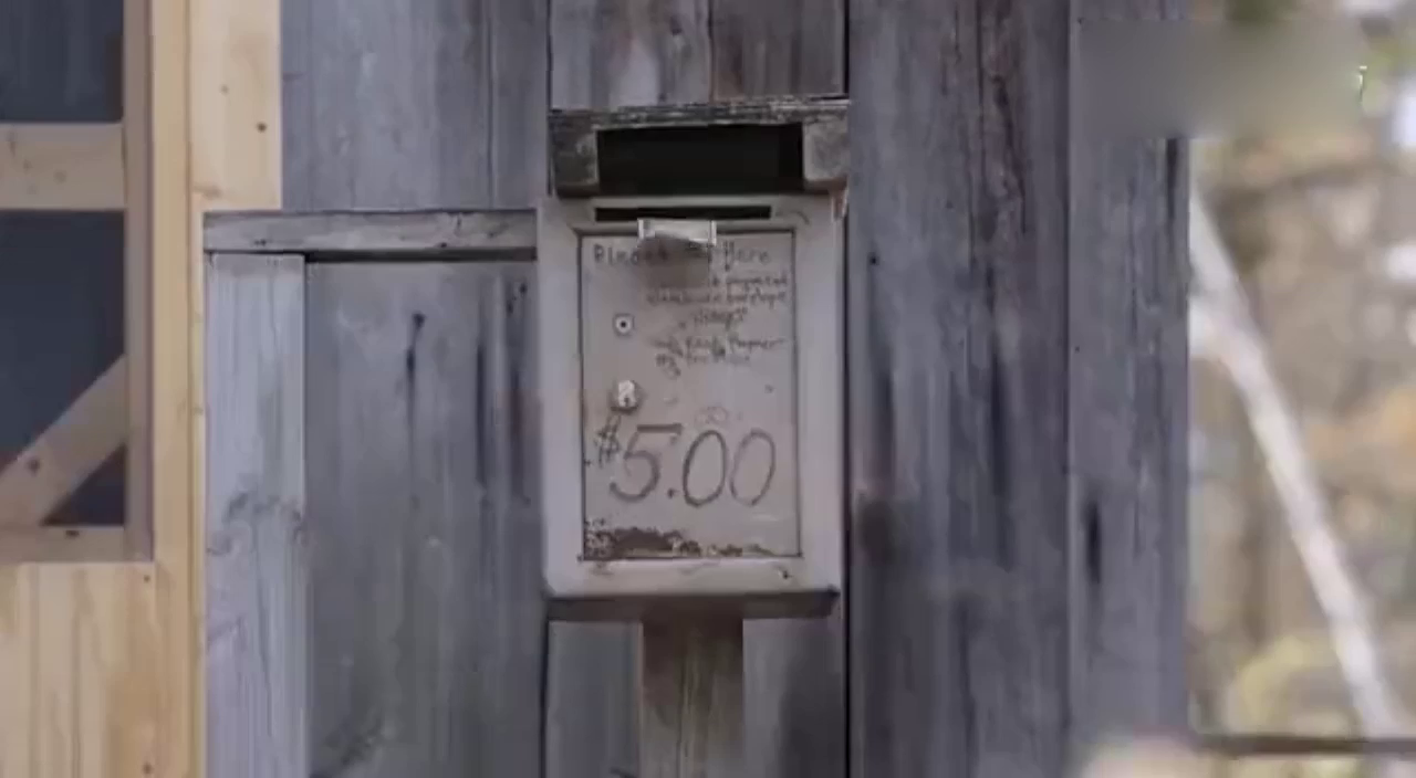 打破宁静 丰田86改装车丛林中秀漂移