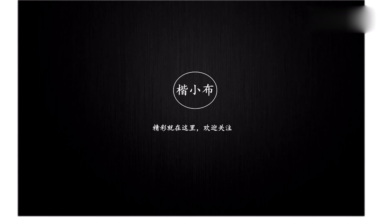 专属大众汽车的改装盛宴，规模巨大的德国本土改装车聚会