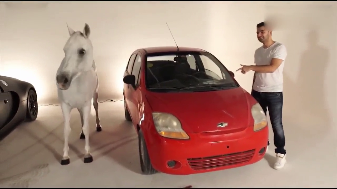 买布加迪跑车送了一匹骏马，五秒钟后v刚刚开始！