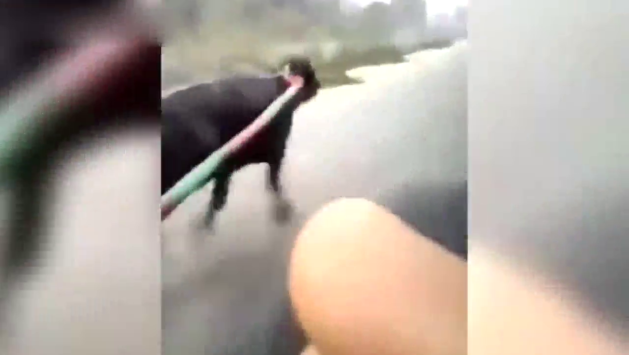 人生第一辆超级跑车，兰博基牛