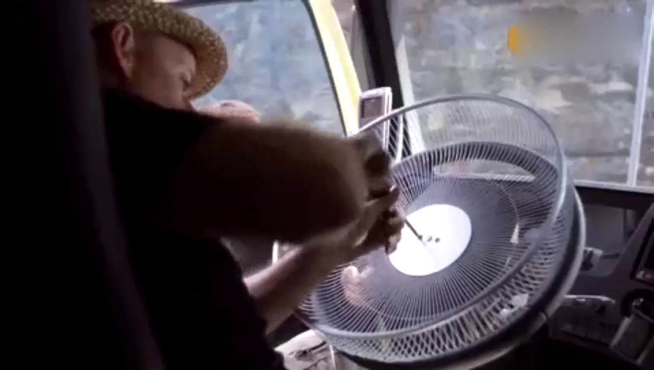 沃尔沃悬崖测试卡车，开车的居然是一直仓鼠