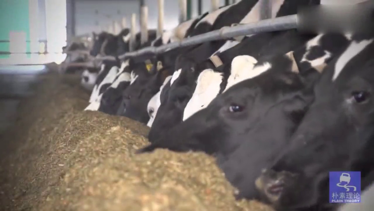 欧洲超大规模农业机械化作业, 全靠这种霸气的农用卡车