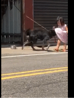 小色狗偷掀女生裙子,还贴上去萌妹被吓到跌倒,网友看