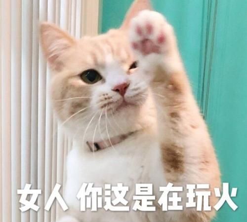 撩女朋友专用表情包来了,请注意查收,我们已经错过十余年