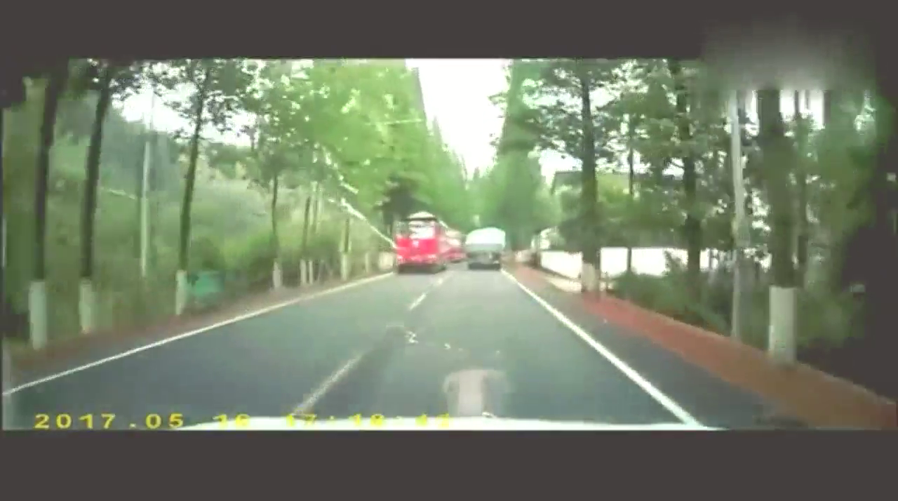 欠收拾的小汽车，被逼撞树的大卡车