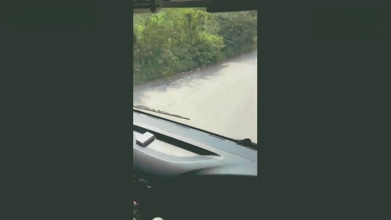 女司机开卡车，走在这种乡间小道上也是轻车熟路