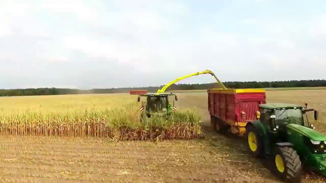 甜菜转储大卡车，农用机办事效率太强大了