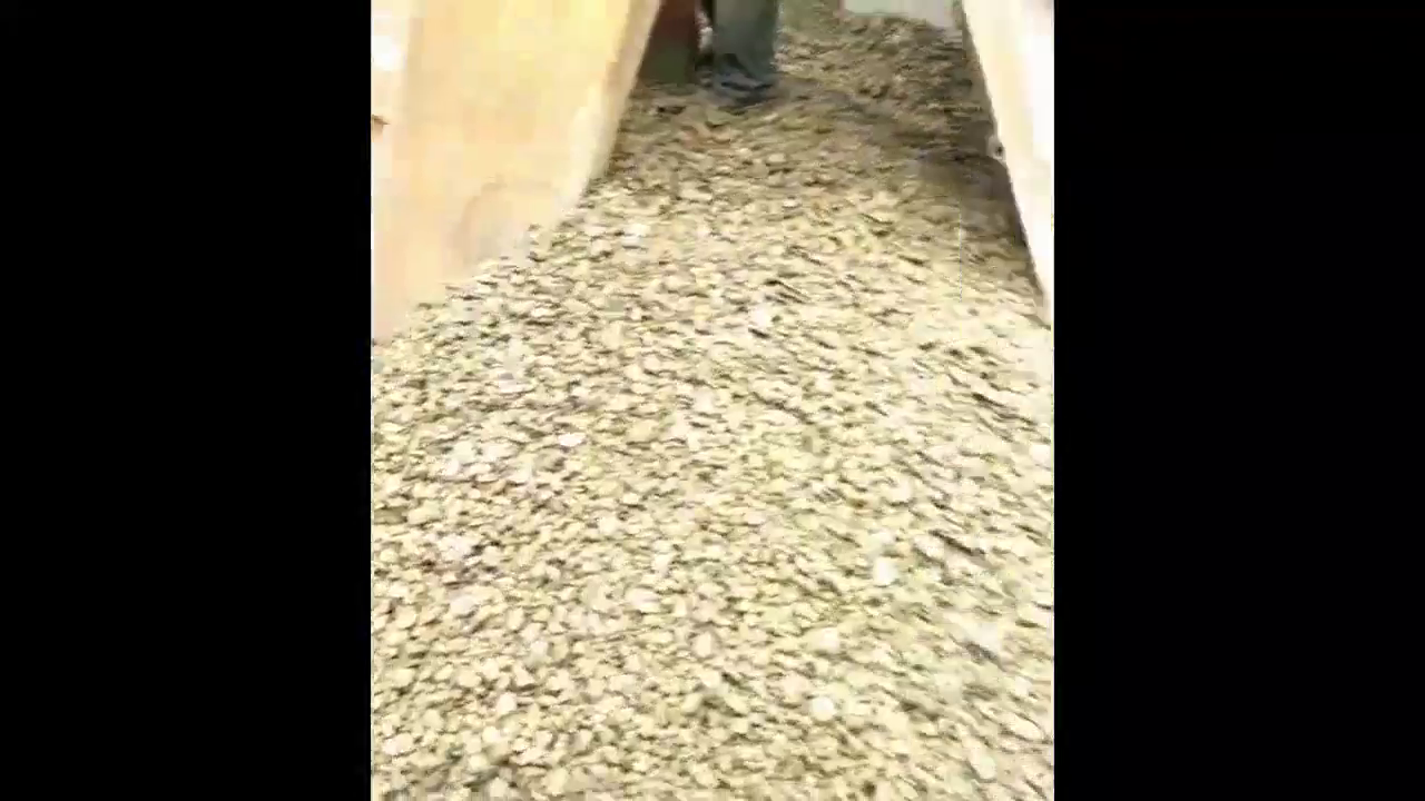 估计你也不相信，卡车拉货是常态