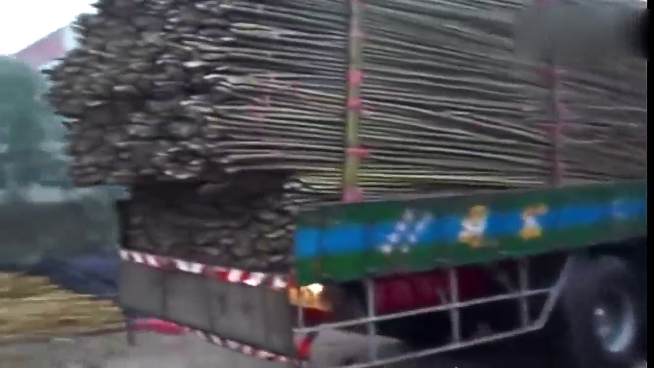 实拍：运输竹子的卡车不断前后移动，后来才知道司机要干什么