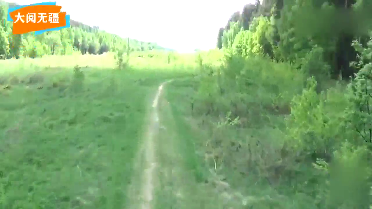 能浮在水面的越野卡车，配6个大型浮力轮胎过沼泽很轻松