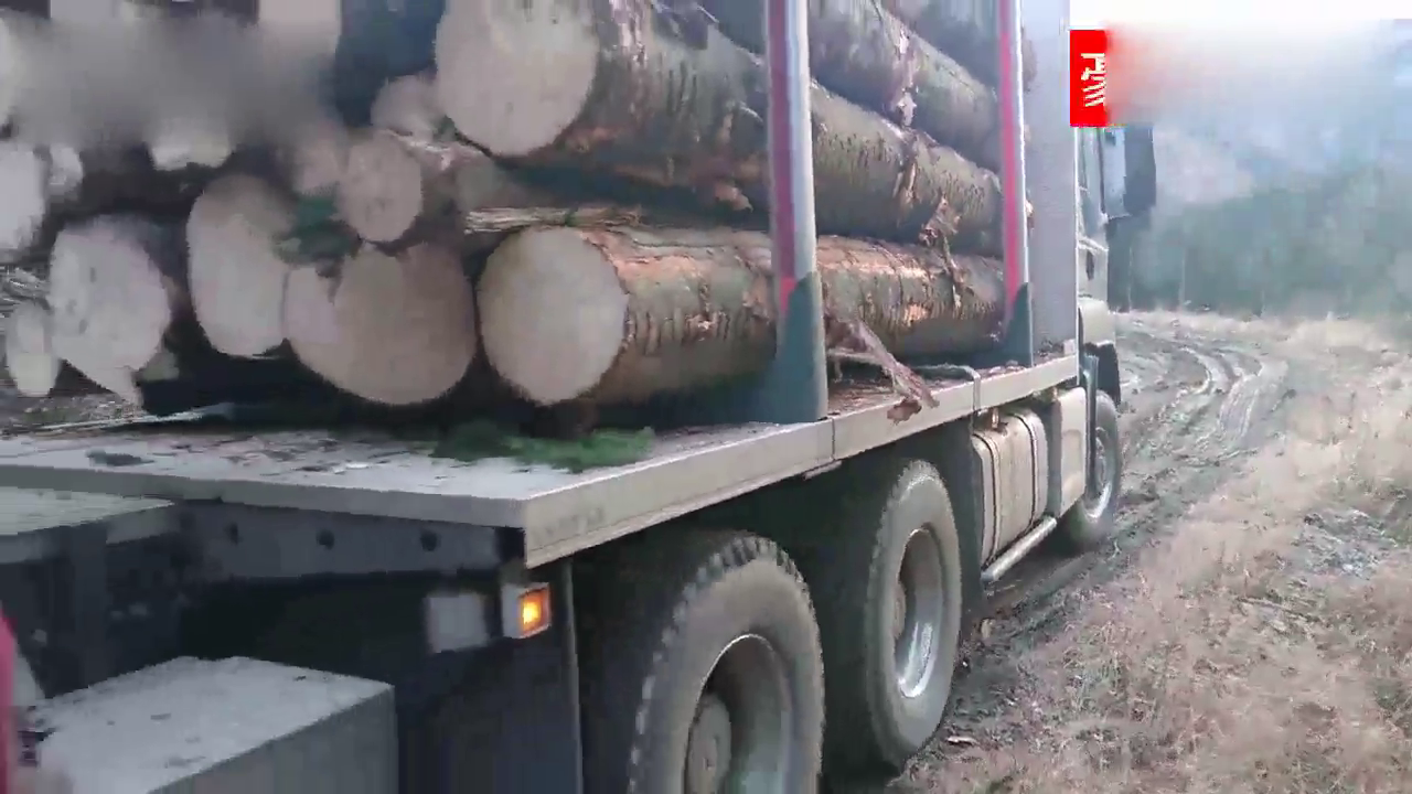 满载木材的卡车走泥路，差点就倒下了