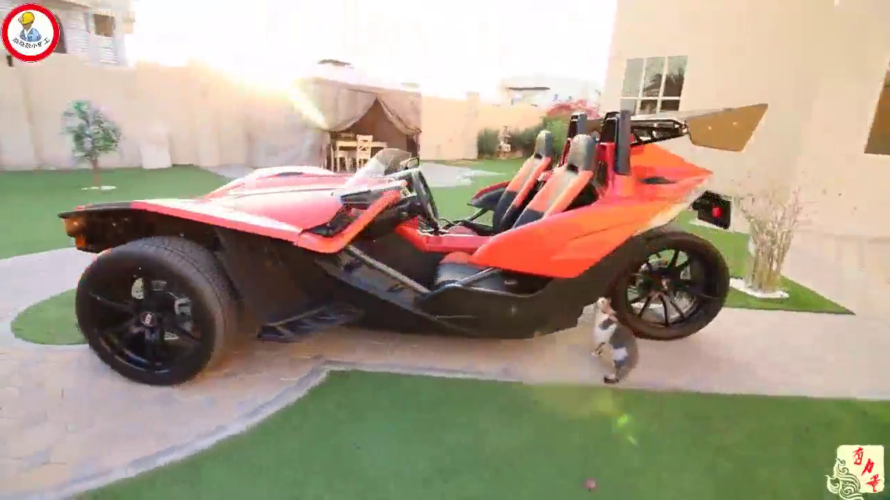 跑车常见，敞篷跑车更常见，倒三轮敞篷跑车还是第一次见