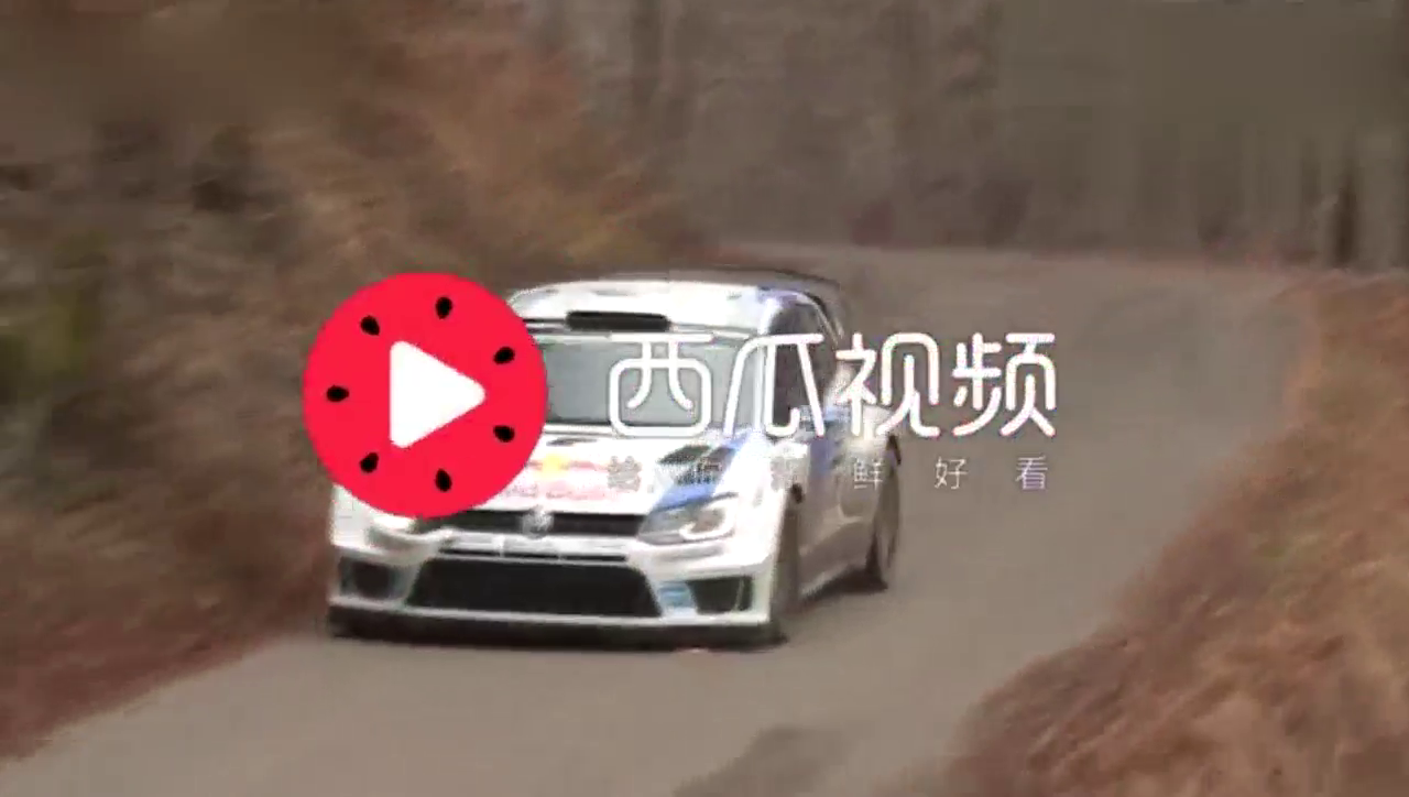 秀出实力，大众Polo R WRC拉力赛车风采