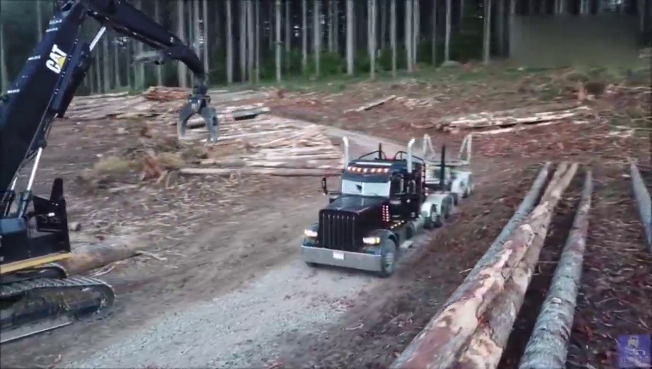 牵引卡车和拖车各配一名司机，运输约38米长的木材