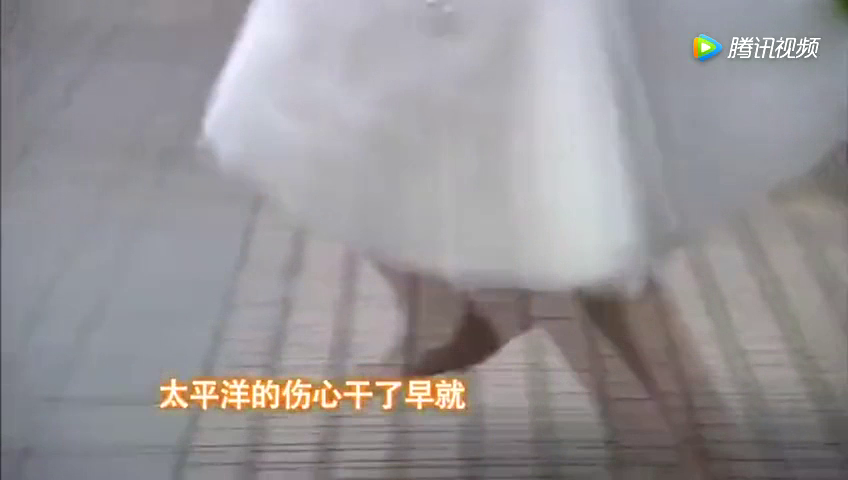 灰姑娘高跟鞋一甩，把总裁限量版跑车弄伤